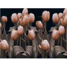 Artgeist Ladies among the flowers fototapetti