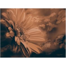 Artgeist Gerbera pronssi fototapetti