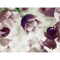 Artgeist Heavenly tulips fototapetti