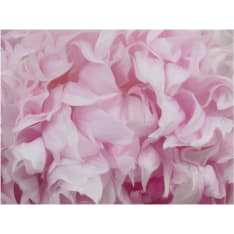 Artgeist azalea (pink) fototapetti