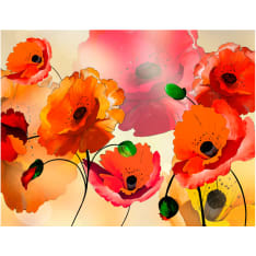 Artgeist Velvet poppies fototapetti