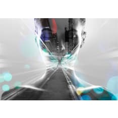 Artgeist City Woman fototapetti