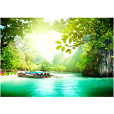 Artgeist Heavenly Landing fototapetti