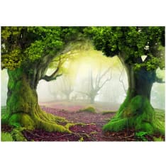 Artgeist Enchanted Forest fototapetti