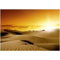 Artgeist March Of Camels fototapetti