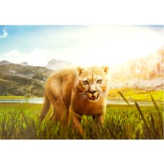 Artgeist Watch Out! fototapetti