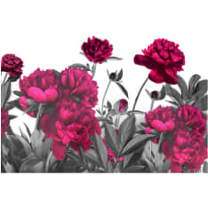 Artgeist Lush Meadow fototapetti