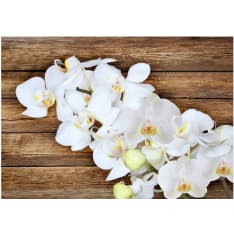 Artgeist Delicacy On Wood fototapetti