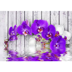 Artgeist Dormant Instincts fototapetti