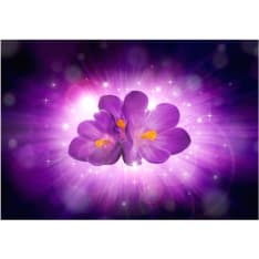 Artgeist Breath Of Spring fototapetti