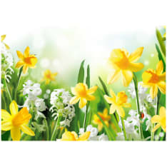 Artgeist Spring Walk fototapetti