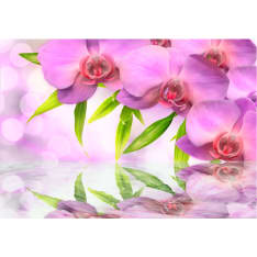 Artgeist Orchids In Lilac Colour fototapetti