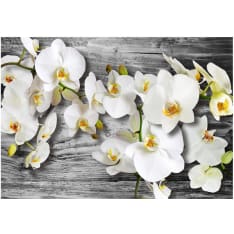 Artgeist Callous Orchids Iii fototapetti