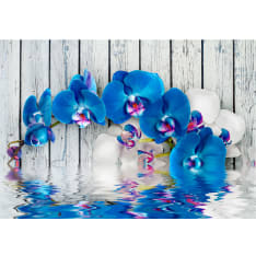 Artgeist Cobaltic Orchid fototapetti