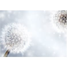 Artgeist Unpredictable Moments fototapetti