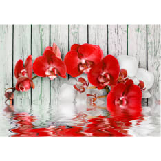 Artgeist Ruby Orchid fototapetti