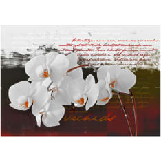 Artgeist Diary And Orchid fototapetti