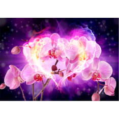 Artgeist Orchids In Flames fototapetti