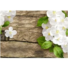 Artgeist Raw Beauty fototapetti