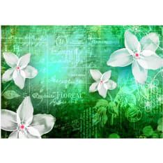 Artgeist Floral Notes Iii fototapetti
