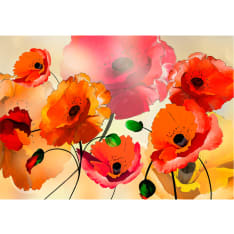 Artgeist Velvet Poppies fototapetti