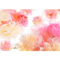 Artgeist Pastel Peonies fototapetti