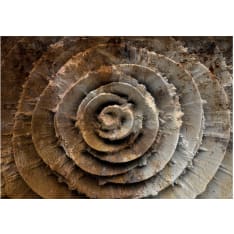 Artgeist Desert Rose fototapetti