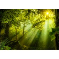 Artgeist In A Secret Forest fototapetti