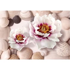 Artgeist Flowers And Shells fototapetti