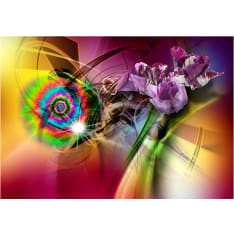 Artgeist Magic Light Of Colors fototapetti