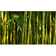 Artgeist Asian Bamboo Forest fototapetti