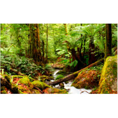 Artgeist Rainforest fototapetti
