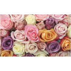 Artgeist Pastel roses fototapetti