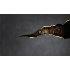 Artgeist Kissan silmäyksellä fototapetti