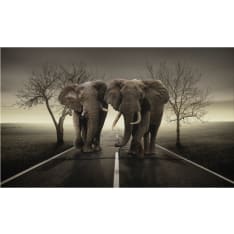 Artgeist Kaupunki norsuja fototapetti