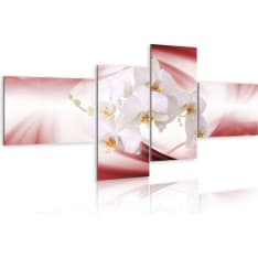 Artgeist An Orchid In Pink Shade taulusetti