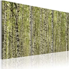 Canvas Print - A forest of birch trees