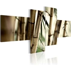 Artgeist Bamboo Inspiration taulusetti
