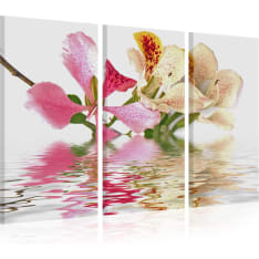 Artgeist Orchid With Colorful Spots taulusetti