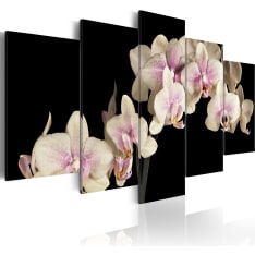 Artgeist An Orchid On A Contrasting Background taulusetti