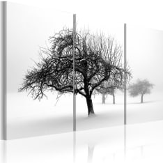 Artgeist Trees Submerged In White taulusetti