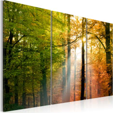 Artgeist A Calm Autumn Forest taulusetti