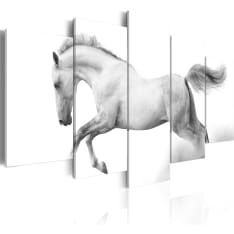 Artgeist Horse- Passion And Freedom taulusetti