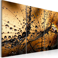 Artgeist Dandelions And Dew taulusetti