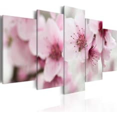Artgeist Cherry- Gentleness And Beauty taulusetti