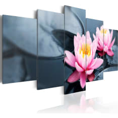 Artgeist Waterlily Dream taulusetti
