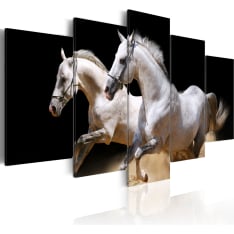 Canvas Print - Gallop- freedom and power