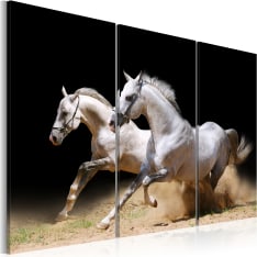 Artgeist Horses- Power And Velocity taulusetti