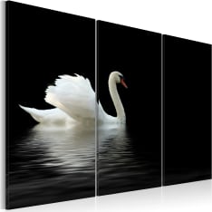 Artgeist A Lonely White Swan taulusetti