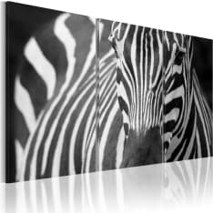 Artgeist Rouva Zebra taulusetti